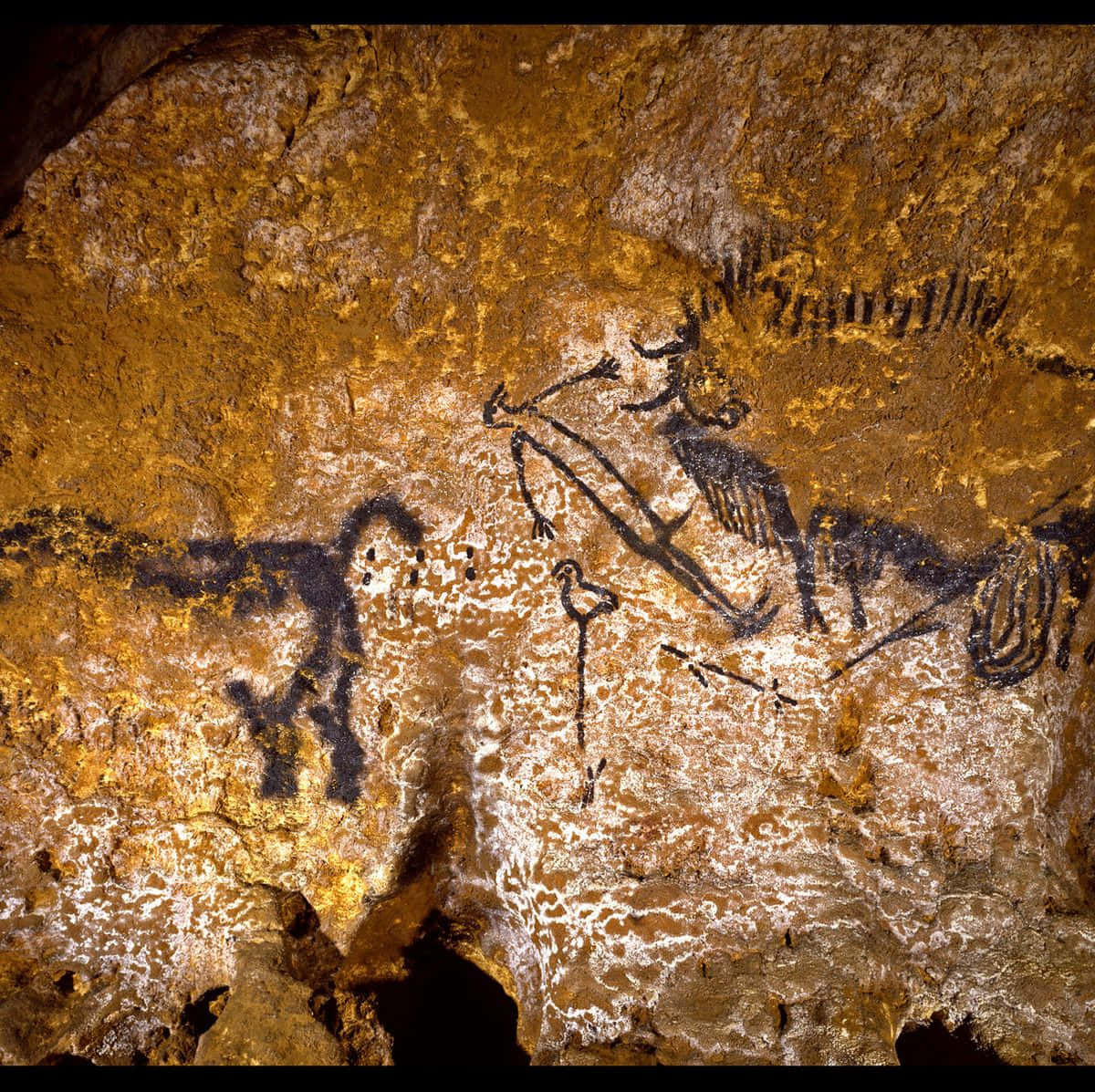 Lascaux Caves Wallpaper