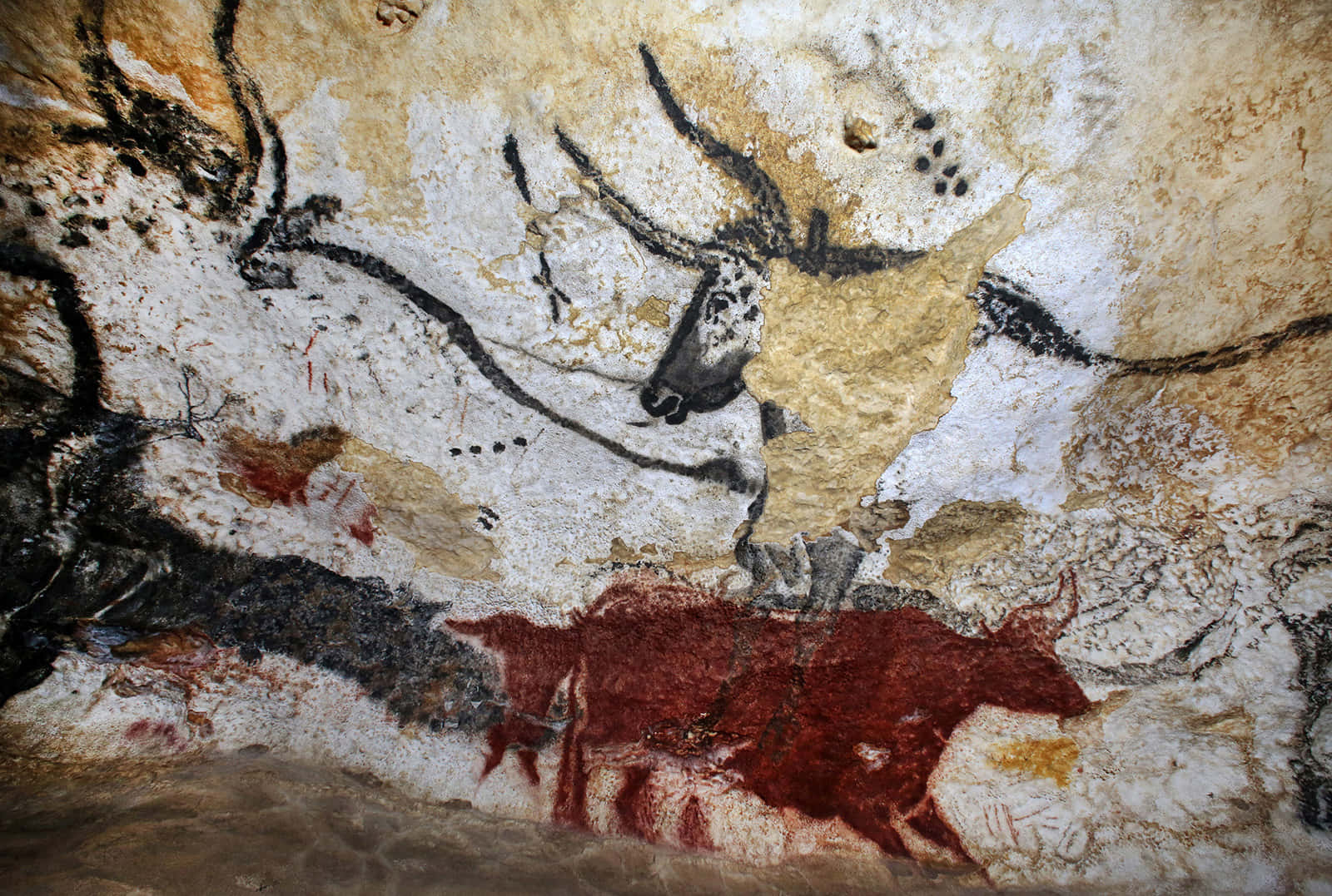 Lascaux Caves Wallpaper