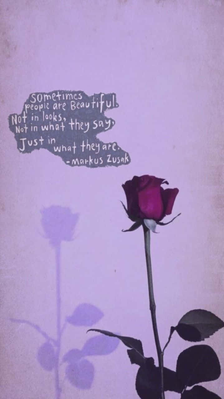 Lavender Purple Rose With Markus Zusak Quote Wallpaper