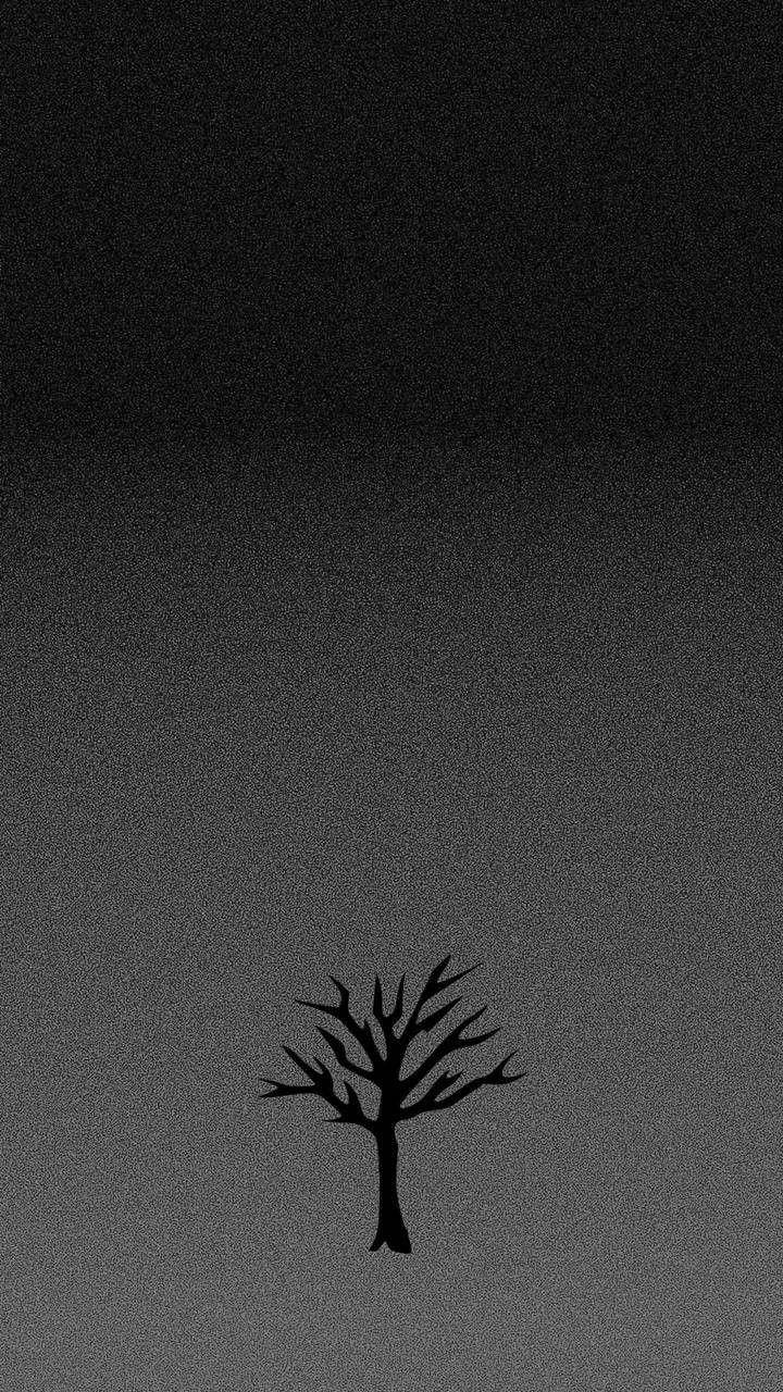 Leafless Tree Xxxtentacion Aesthetic Wallpaper