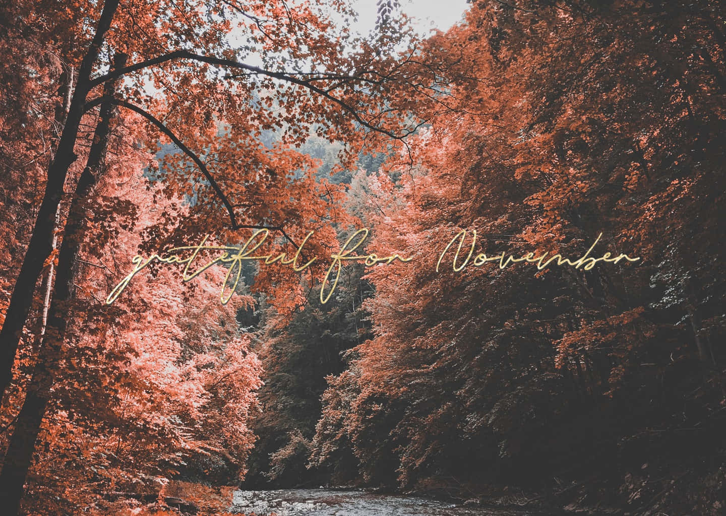 Leaves Of Fall In November Wallpaper