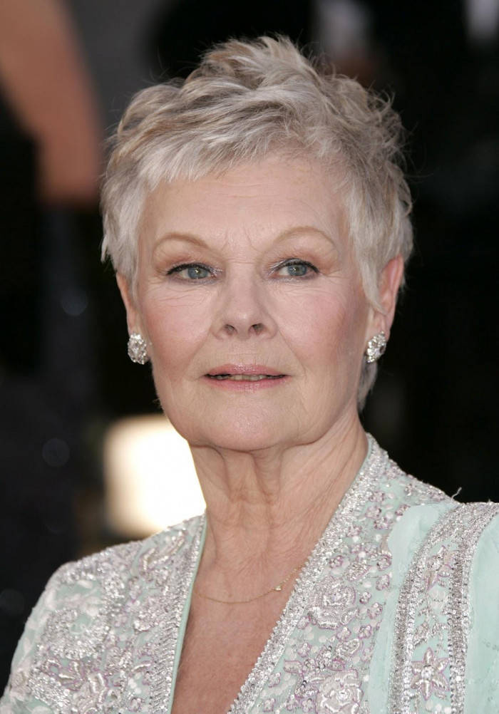 Legendary Actress Judi Dench Shines In Breathtaking Gown Wallpaper