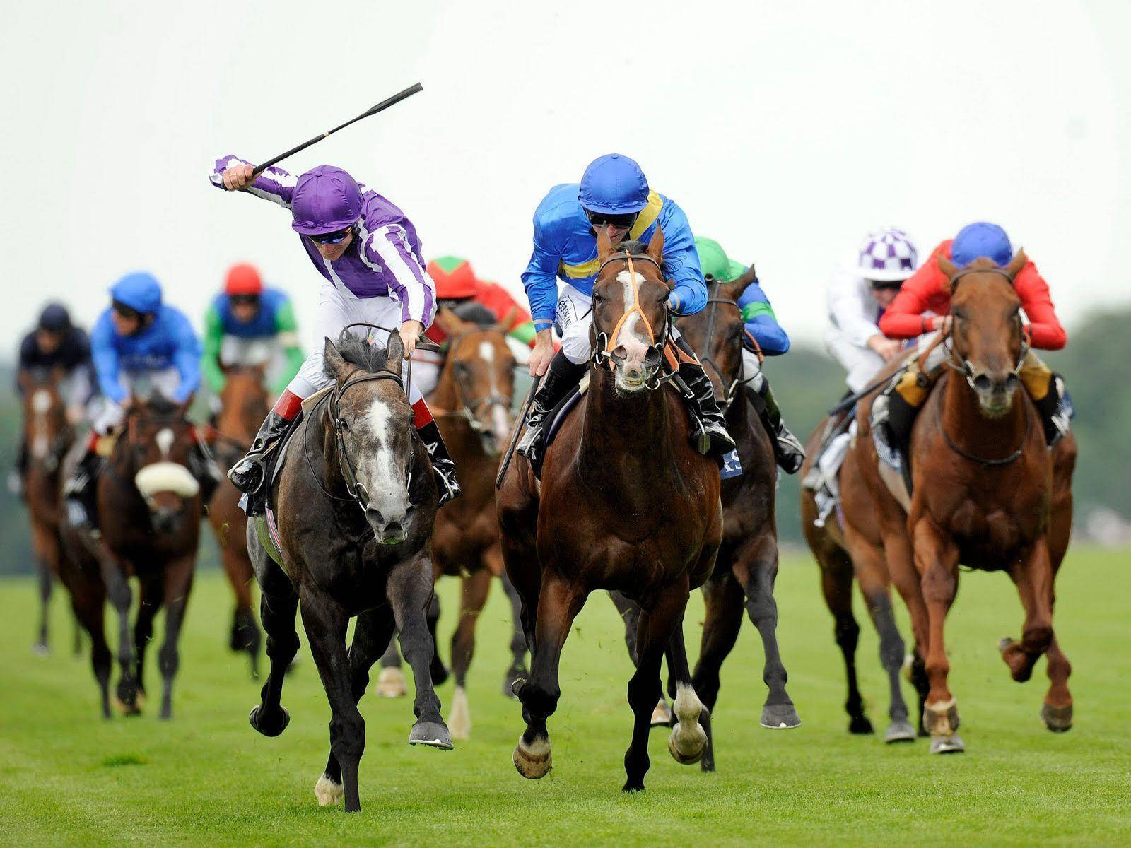 Legendary Horses In A Horse Racing Wallpaper