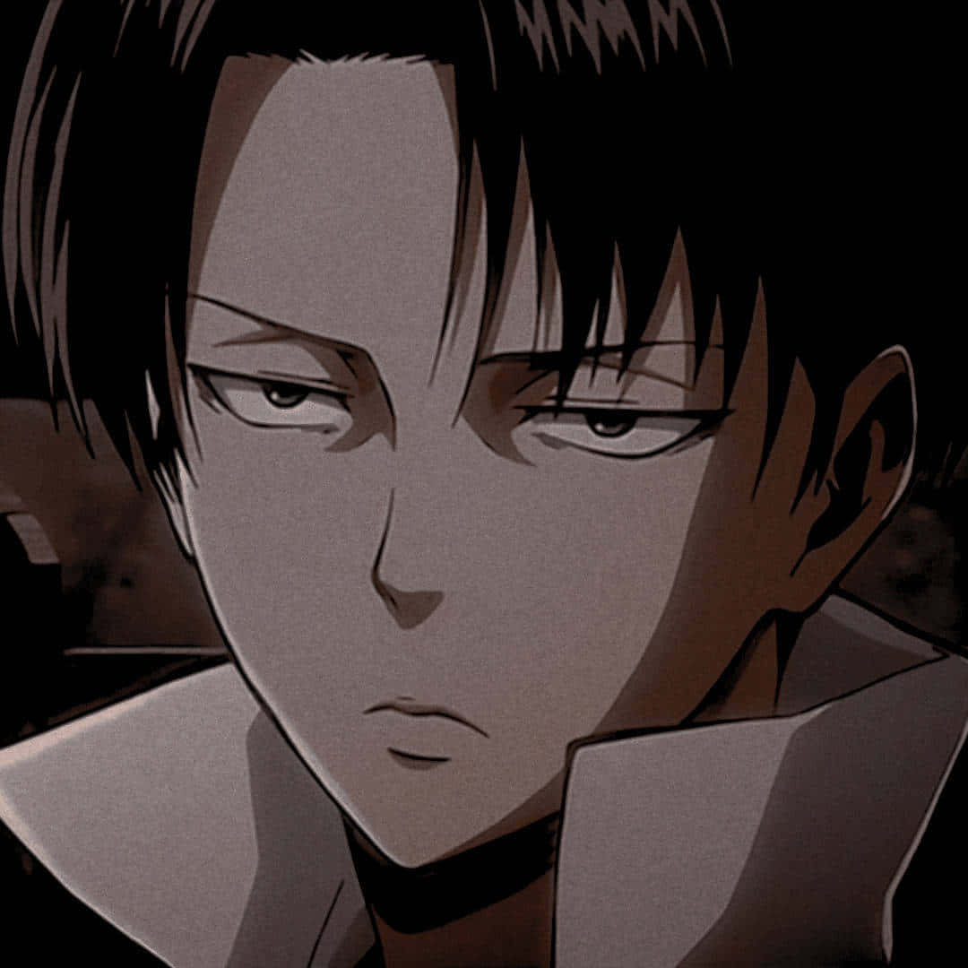 Levi Pfp Close-up Wallpaper