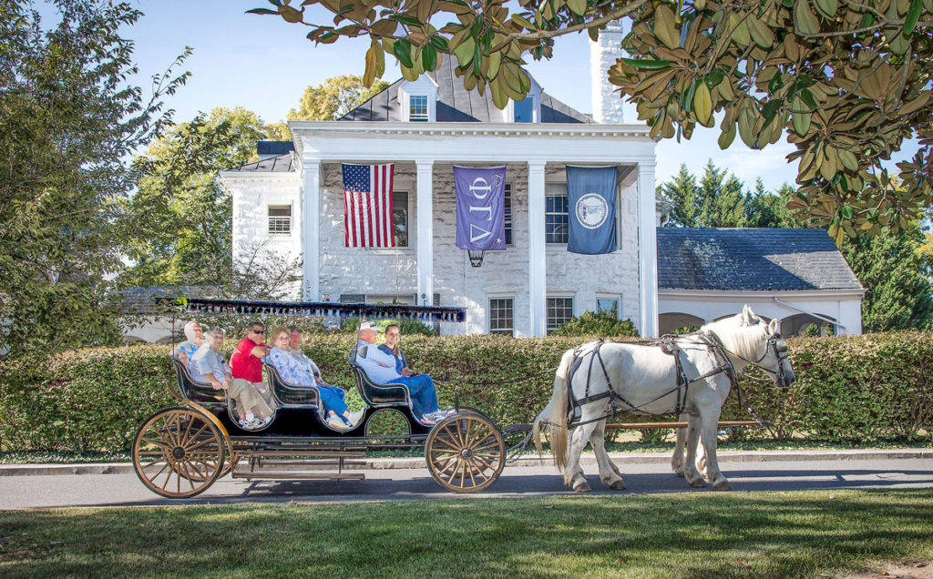 Lexington Horse Sleigh Ride Wallpaper