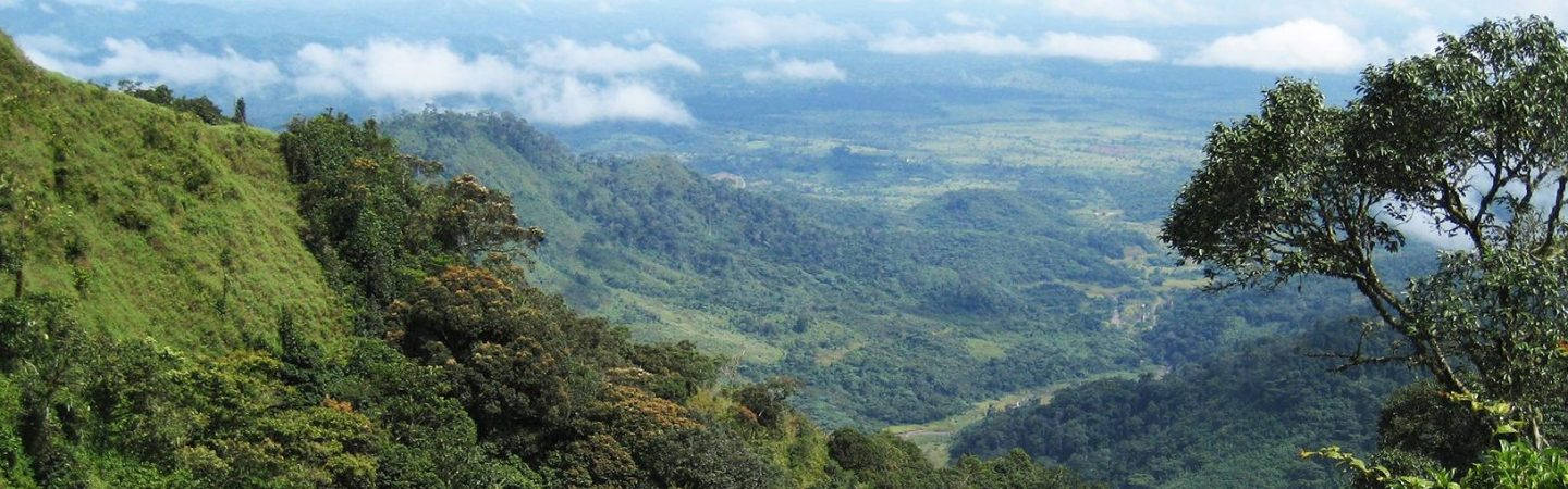 Liberia Clouds Forest Wallpaper