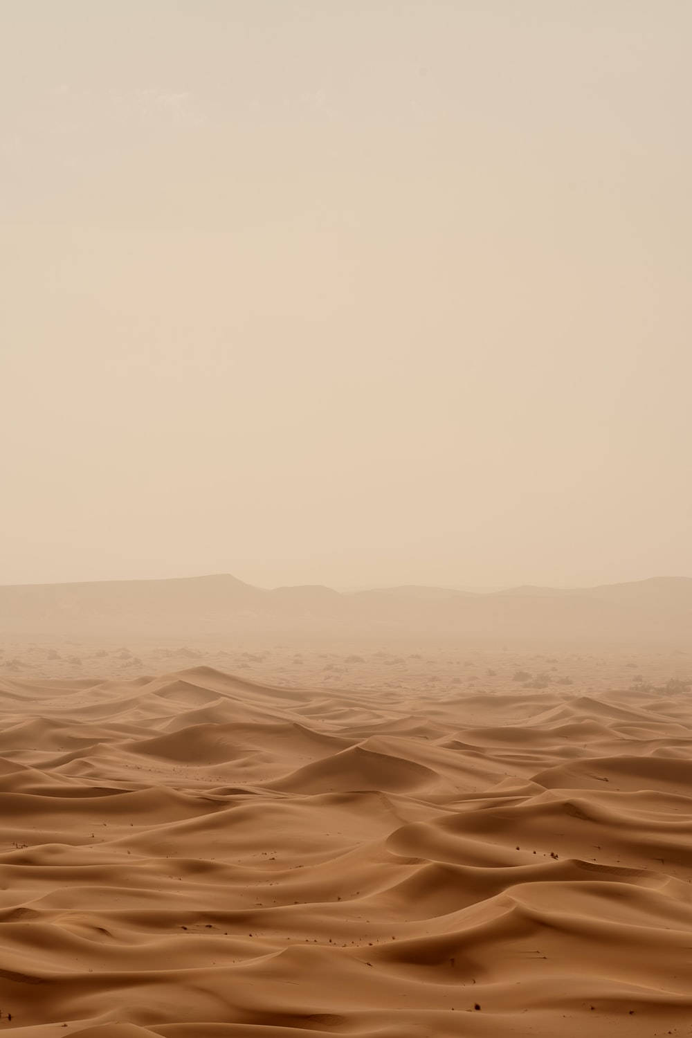 Light Brown Aesthetic Vast Desert Wallpaper