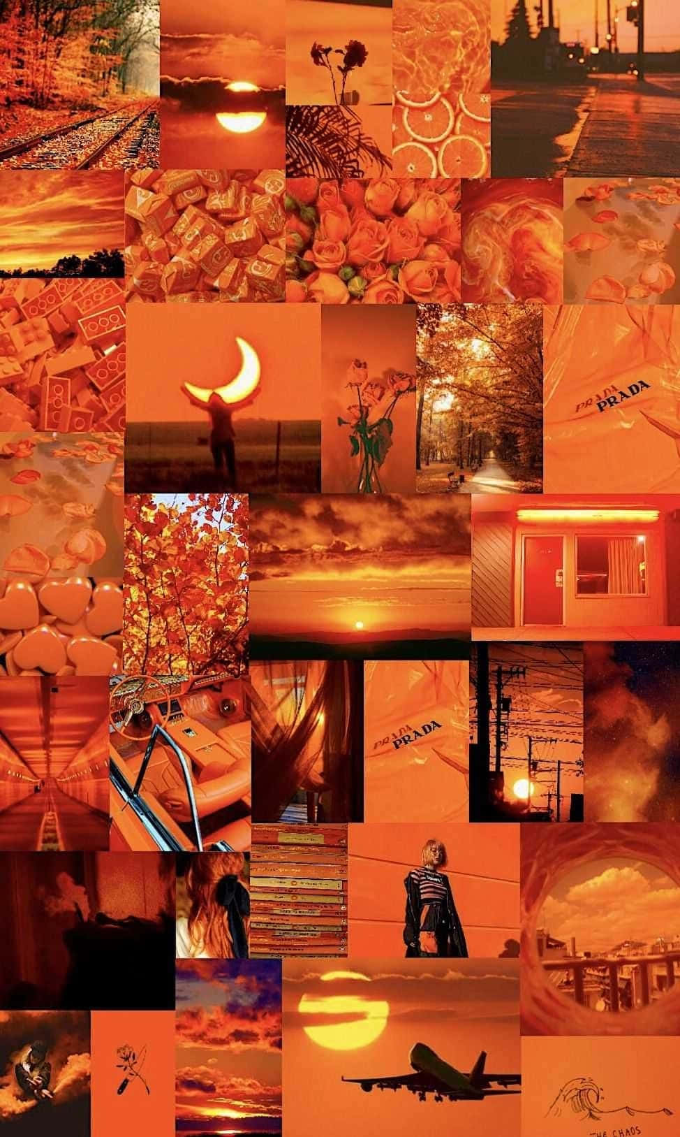 Light Orange Aesthetic Collage Wallpaper