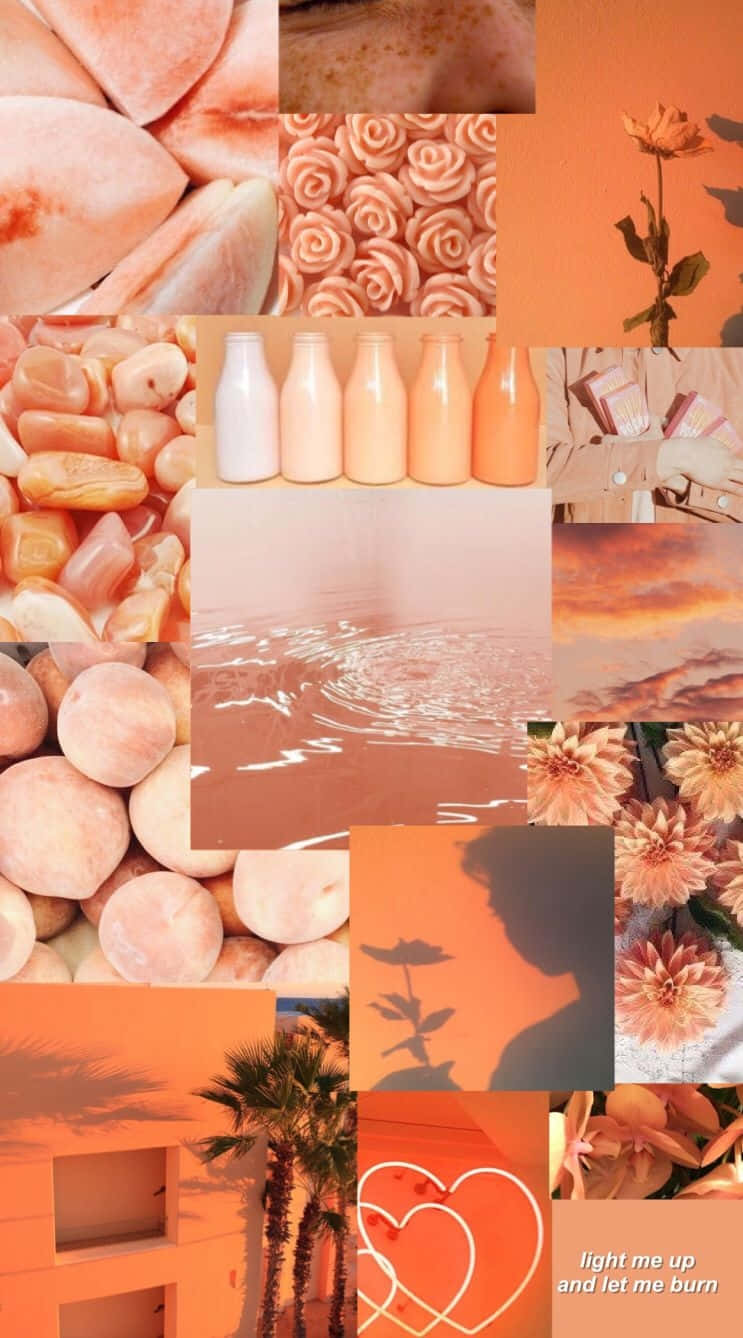 Light Orange Aesthetic Collage Wallpaper