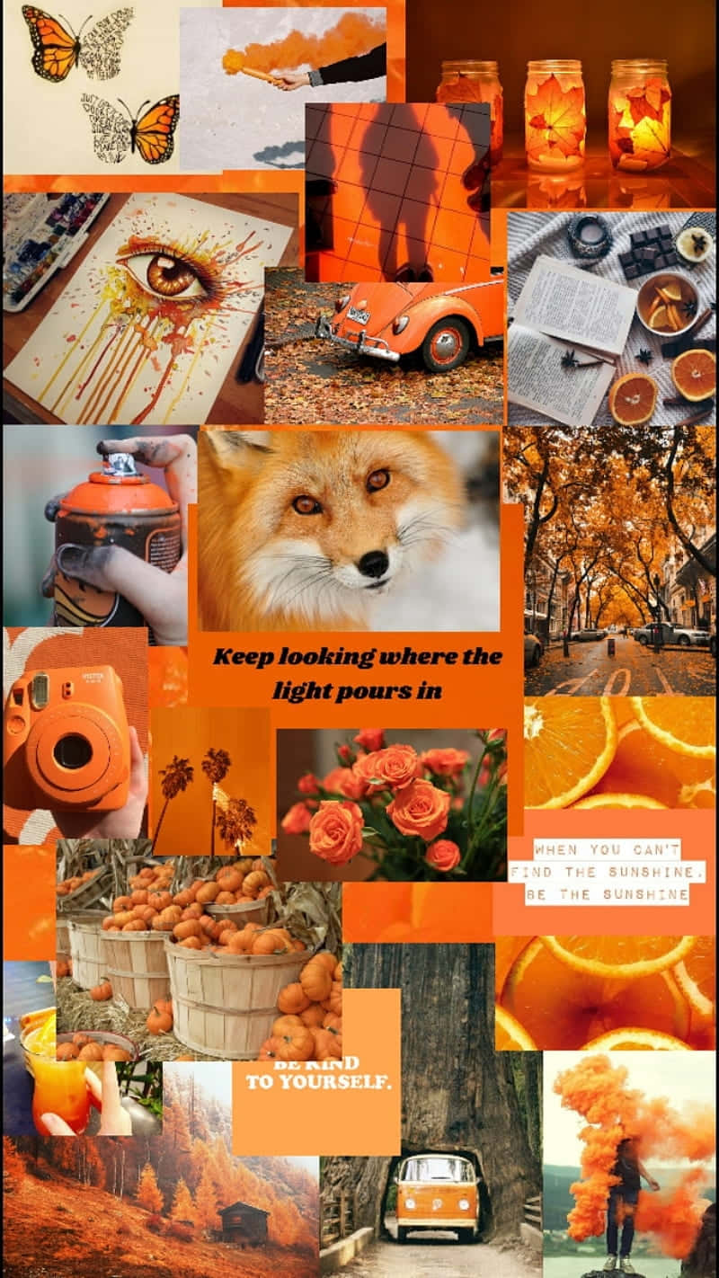 Light Orange Aesthetic Collage Wallpaper