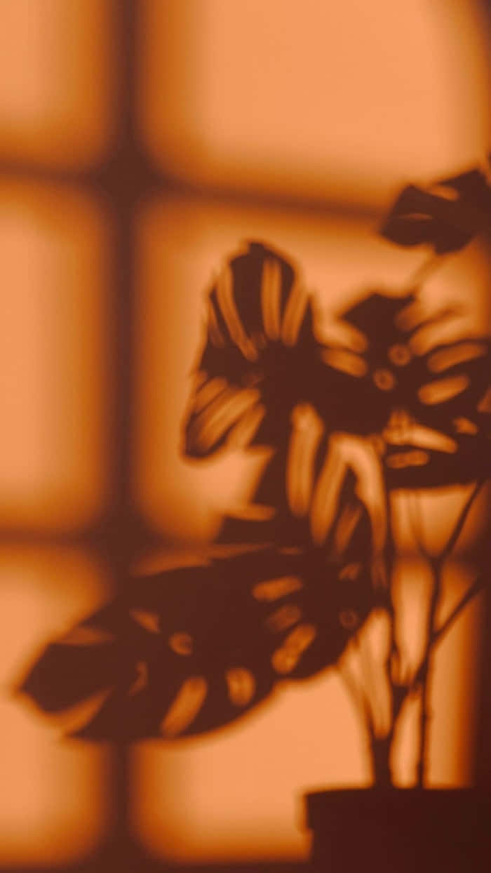 Light Orange Monstera Silhouette Wallpaper