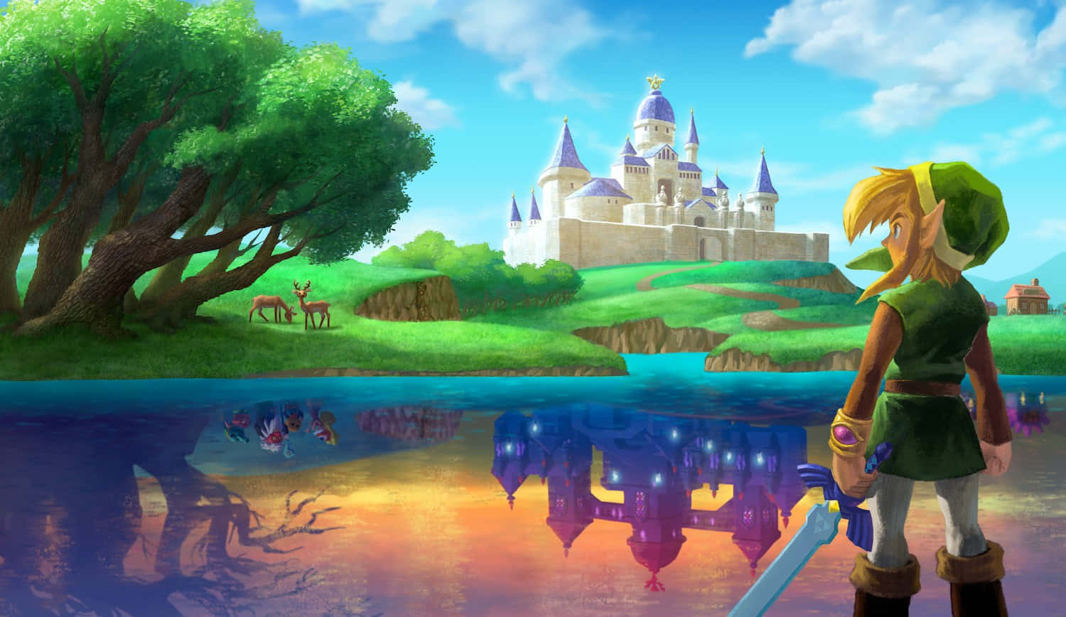 Link Reflectingon Dark Castle Wallpaper