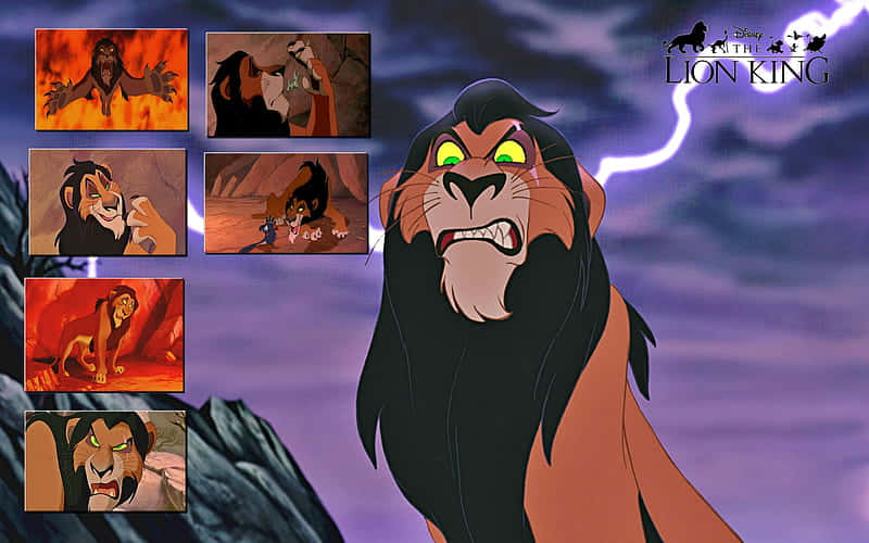 Lion King's Scar – The Devious Uncle Wallpaper