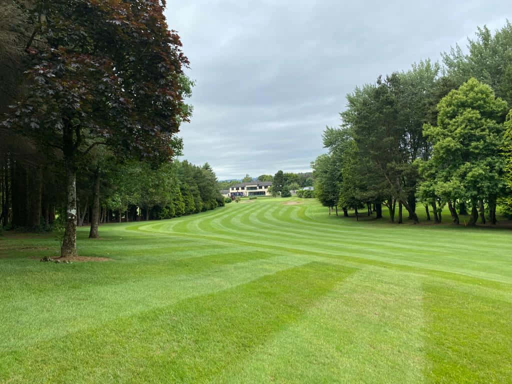 Lisburn Golf Course Manicured Greens Wallpaper