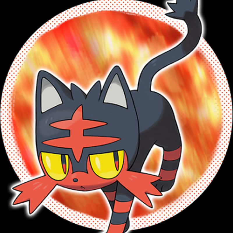 Litten With Orange Circle Graphic Wallpaper