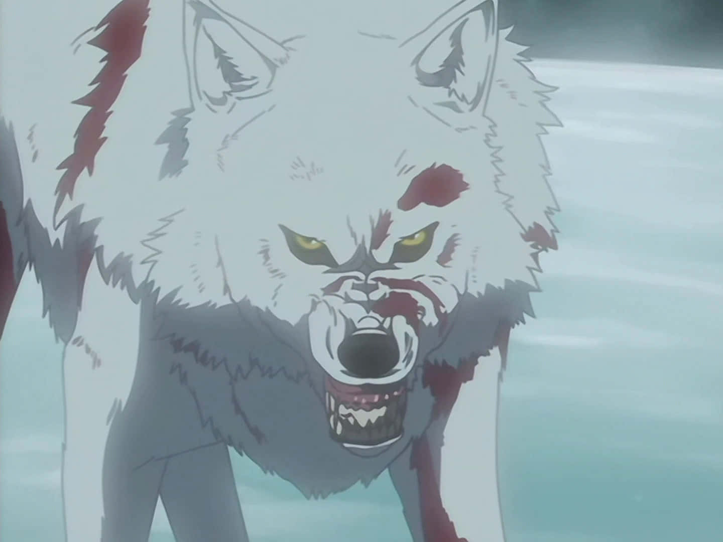 Lone Leader Of The Wolf Pack - Kiba In Wolf's Rain Wallpaper