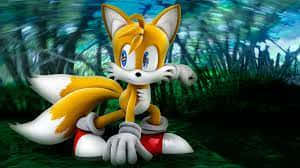 Look Into The Wild With Tails Wallpaper