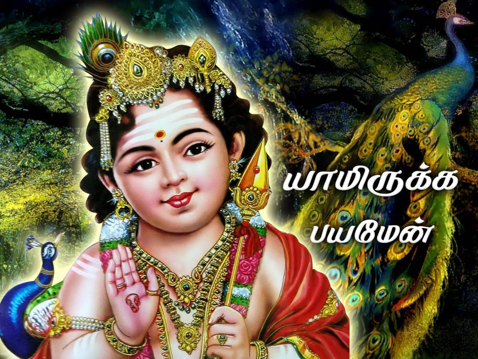 Lord Murugan 4k Peacock In Background Wallpaper