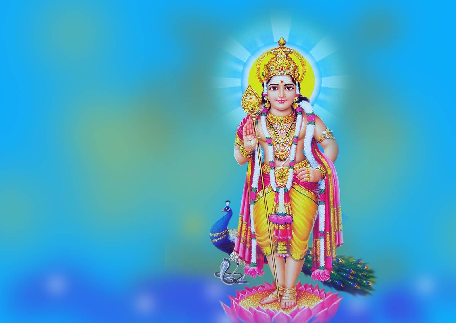 Lord Murugan 4k With Peacock On Blue Wallpaper