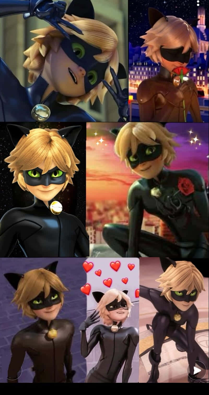 Lovable Hero Cute Cat Noir Wallpaper