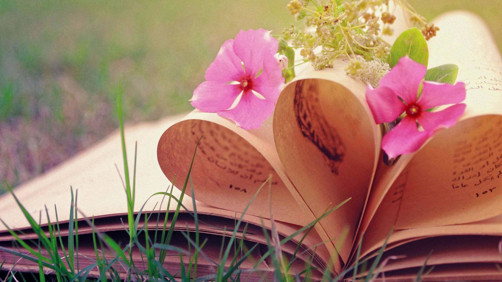 Love Nature Book Wallpaper