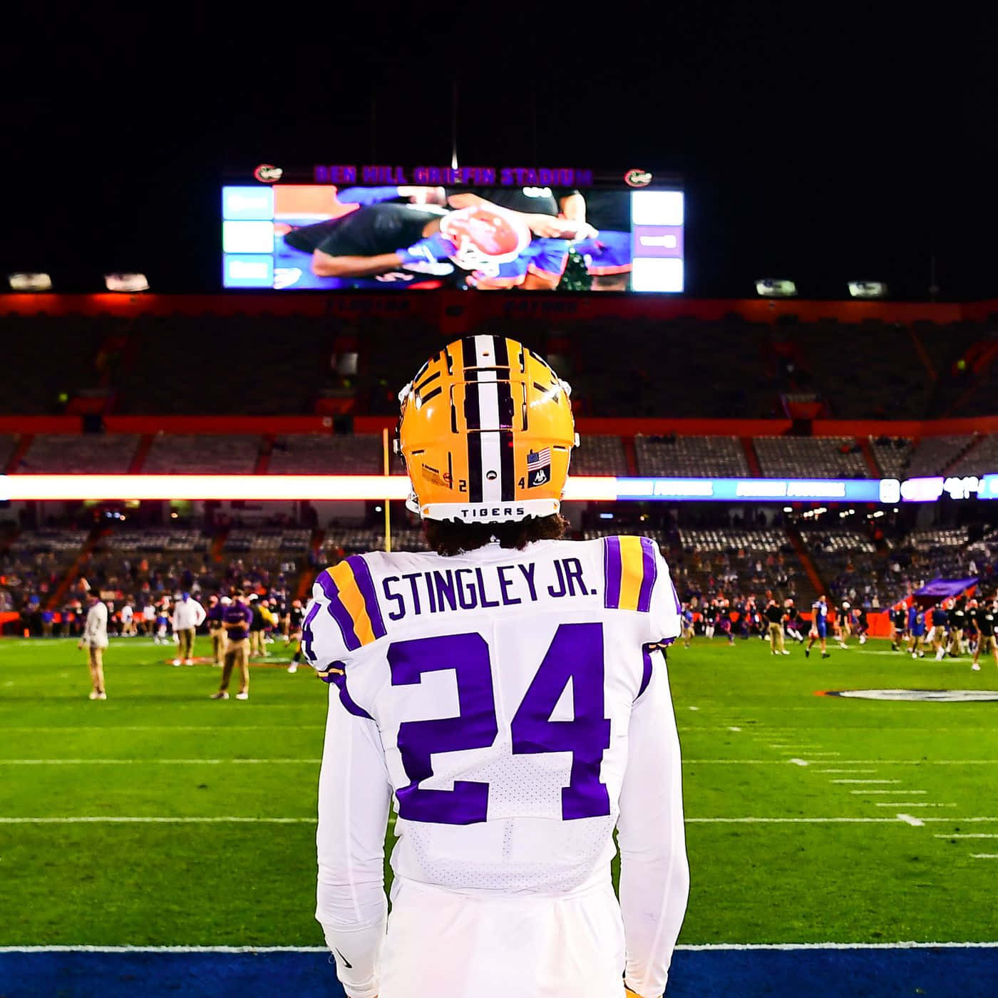 Lsu Football Back View Wallpaper