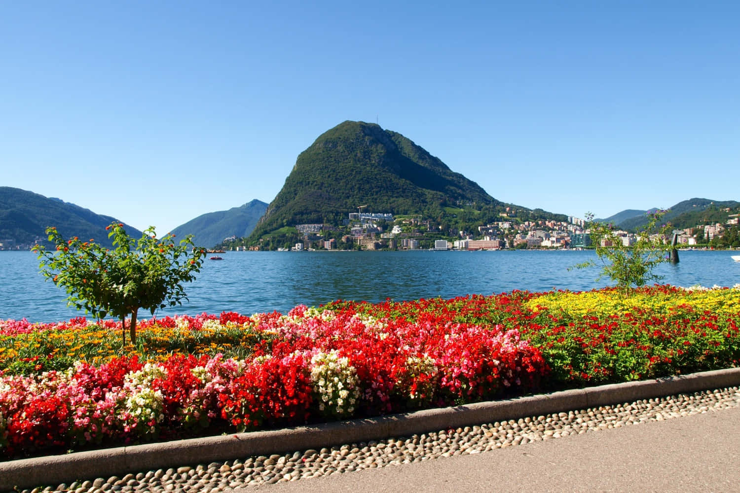 Lugano Lakefront Floral Display Wallpaper