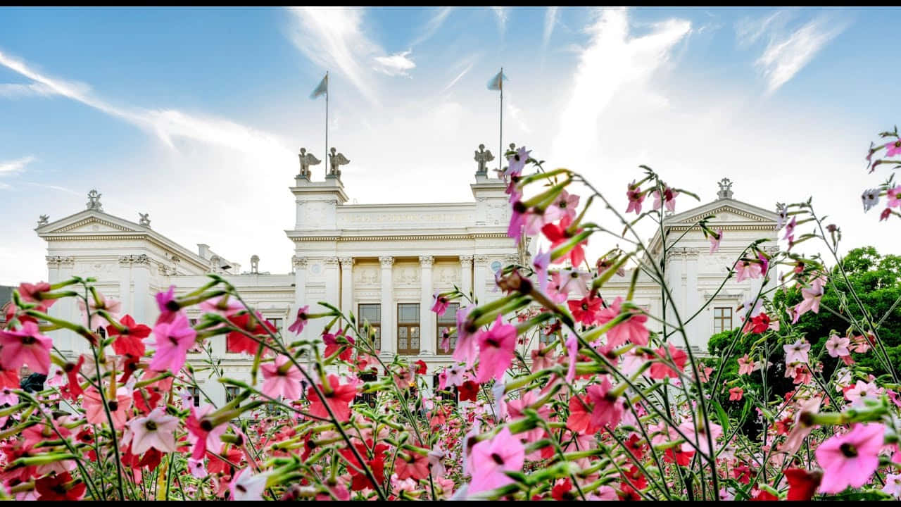 Lund_ University_ Main_ Building_ Behind_ Flowers.jpg Wallpaper