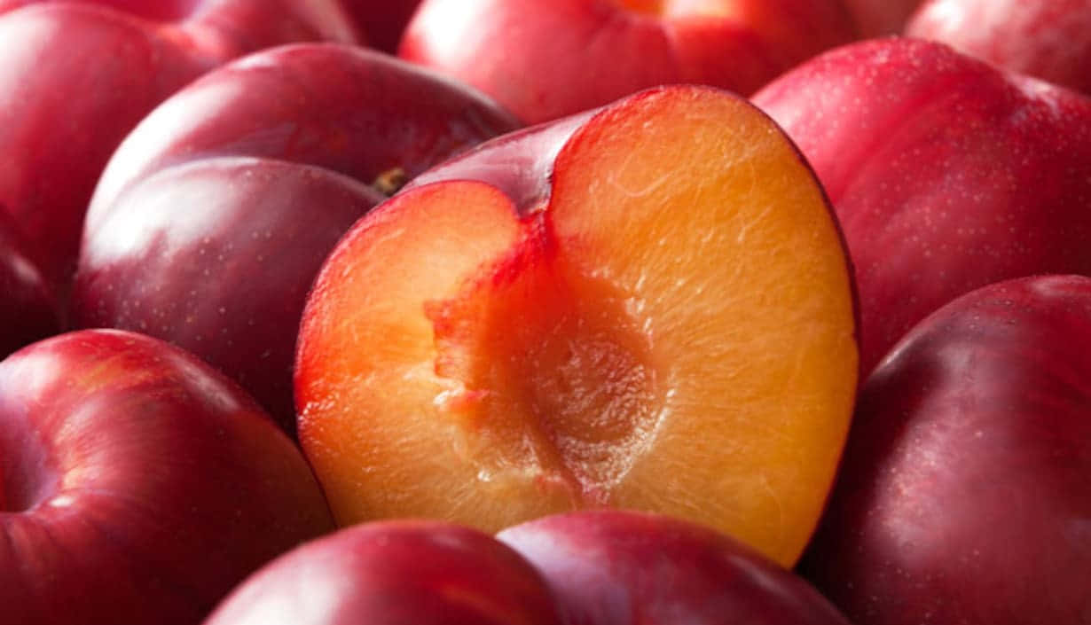 Luscious Red Plum On A Branch Wallpaper