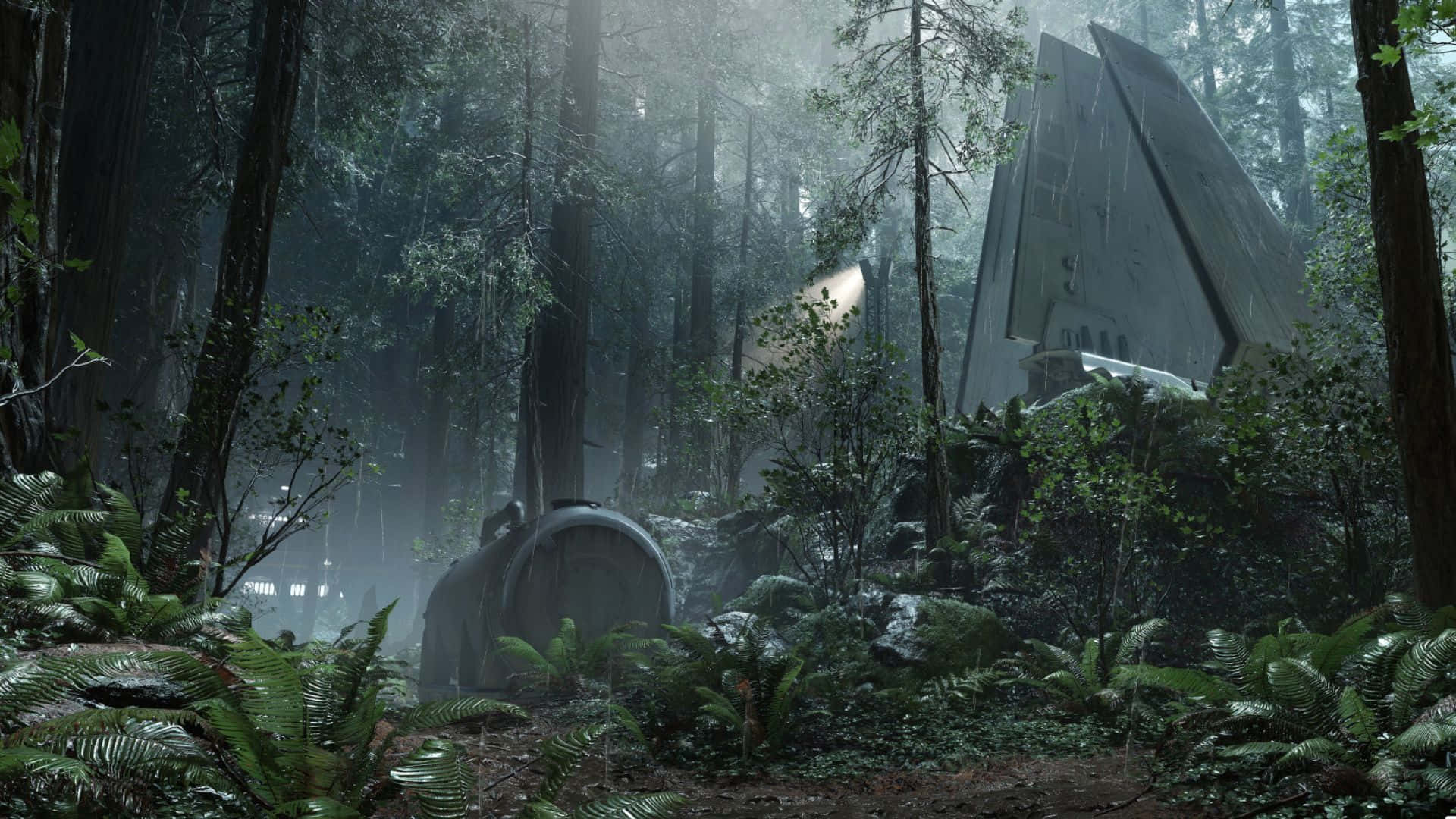 Lush Forest Of Endor Wallpaper