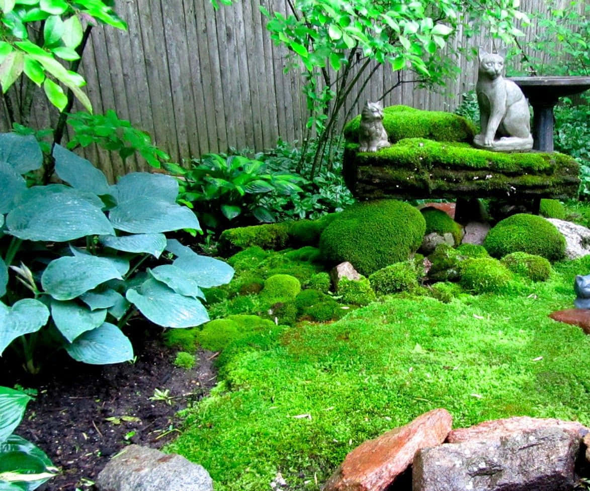 Lush Green Moss On A Forest Floor Wallpaper