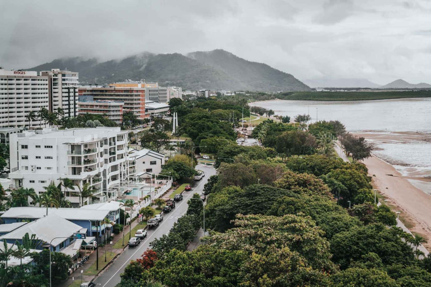 Lush Tropical Foliage In Cairns, Australia Wallpaper