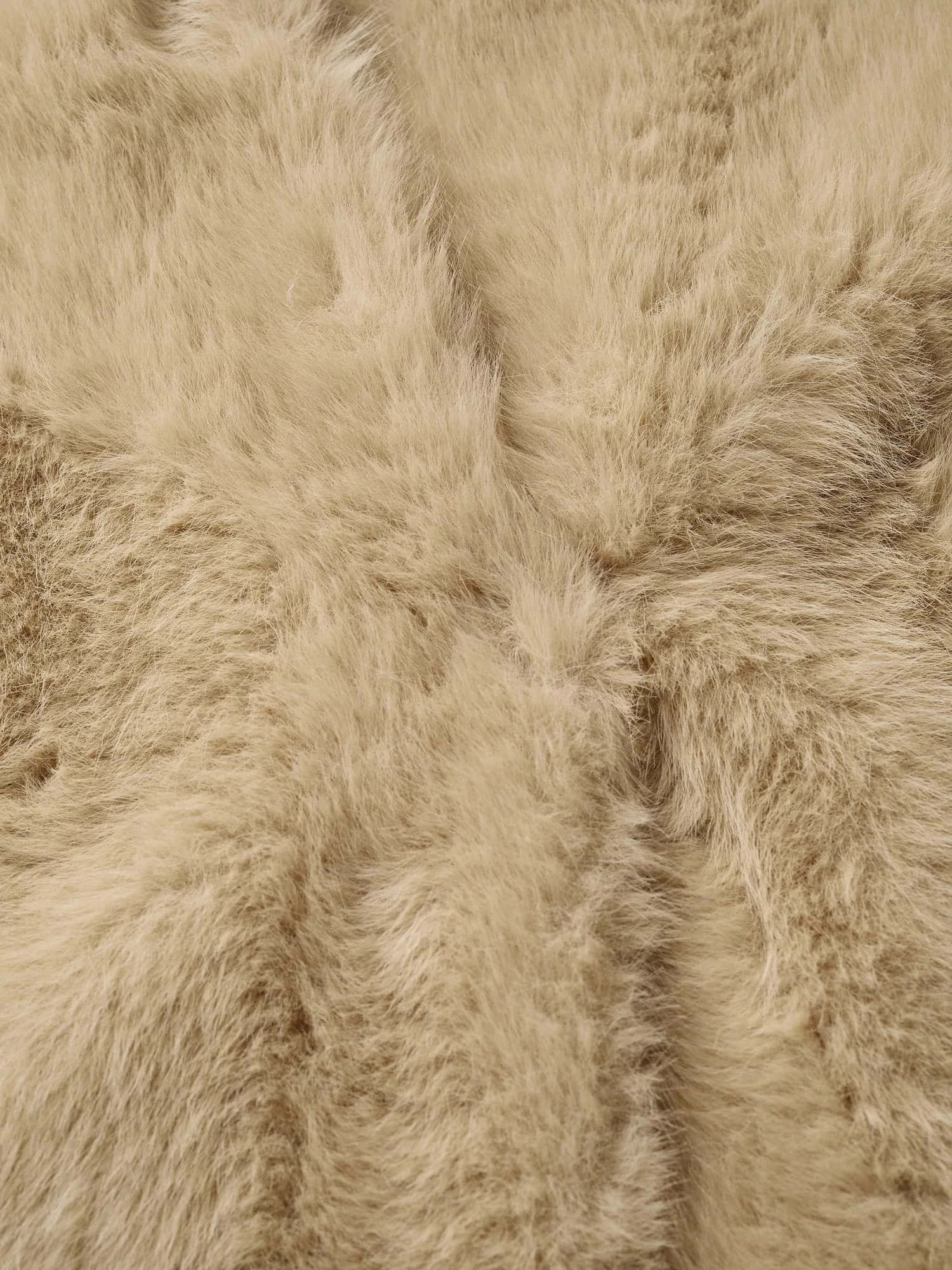 Luxurious Faux Fur Fashion Wallpaper