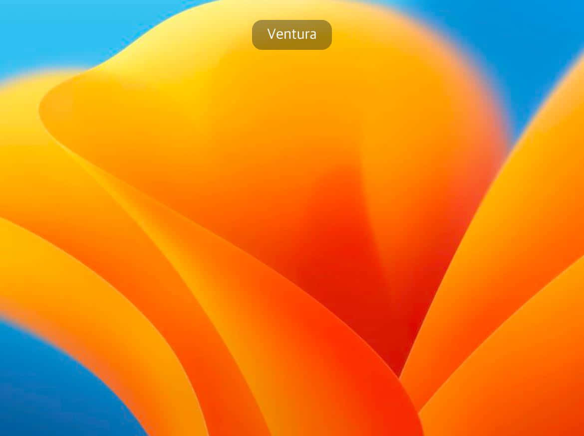 Mac O S Ventura Abstract Wallpaper Wallpaper