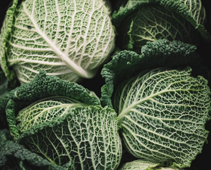 Macro Cabbage Wallpaper