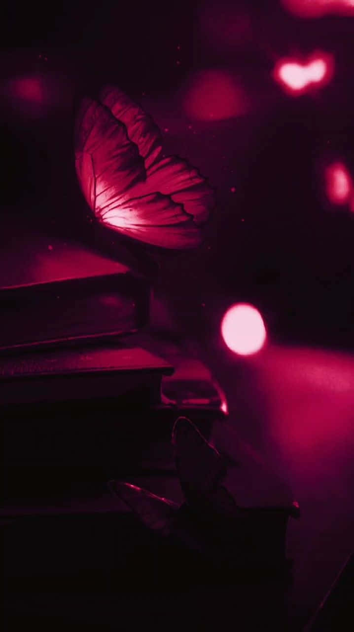 Magenta Butterflyon Piano Keys Wallpaper