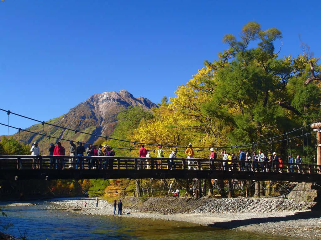 Magical Fall Bridge Wallpaper