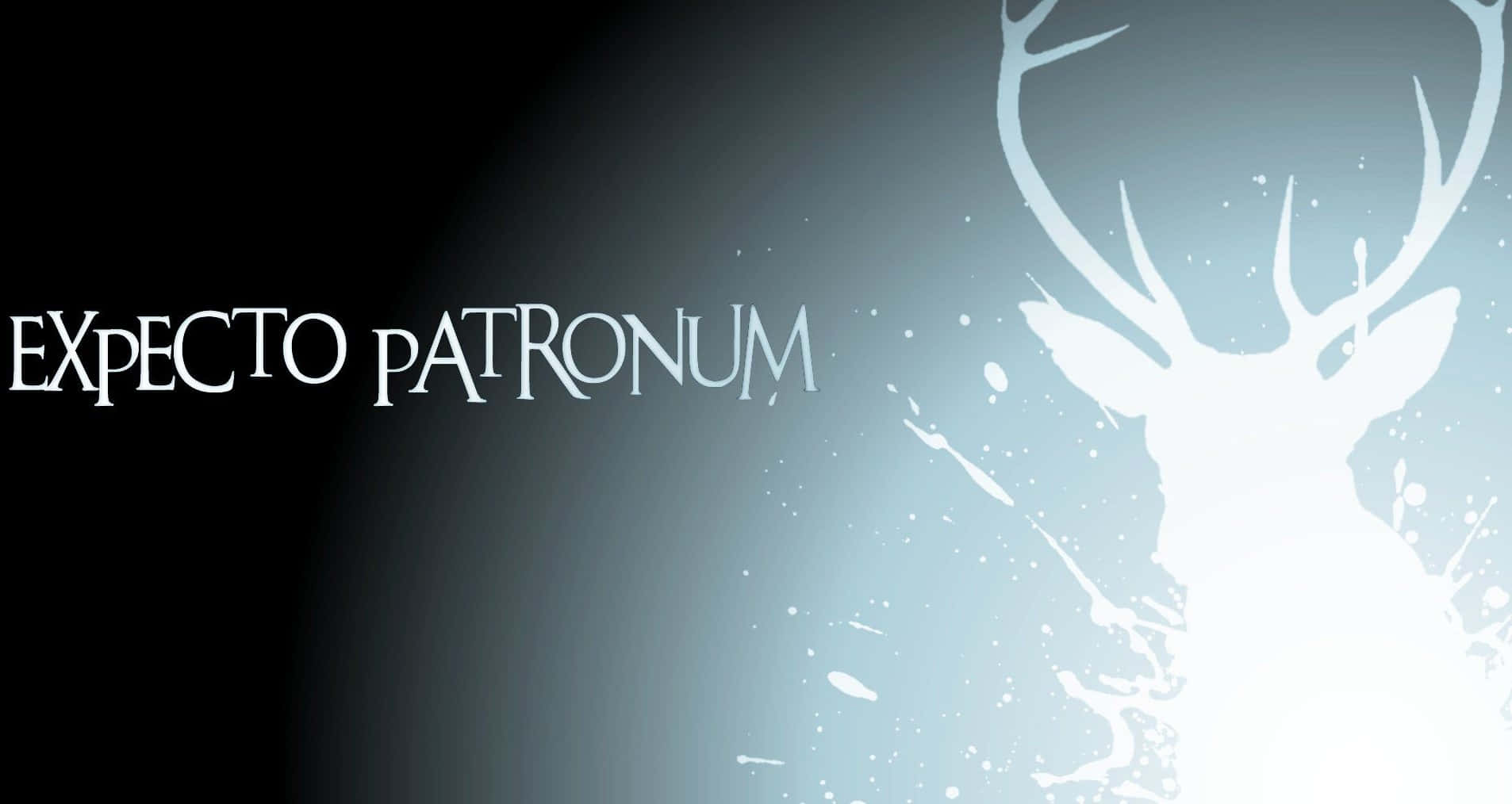 Magical Patronus Forest Scene Wallpaper