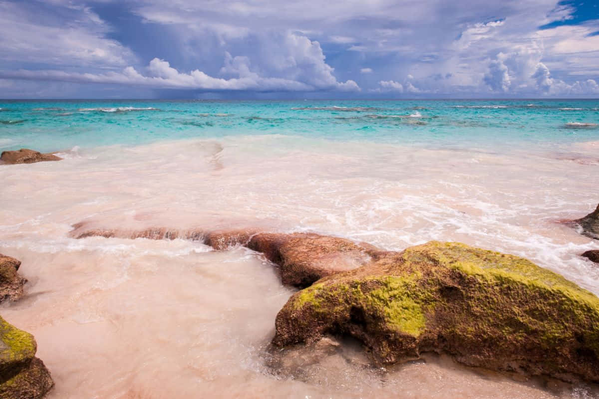 Magical Pink Sand Beach Against Crystal Clear Waters Wallpaper