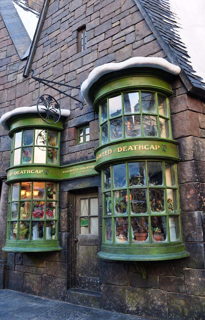 Magical Shopping In Diagon Alley Wallpaper