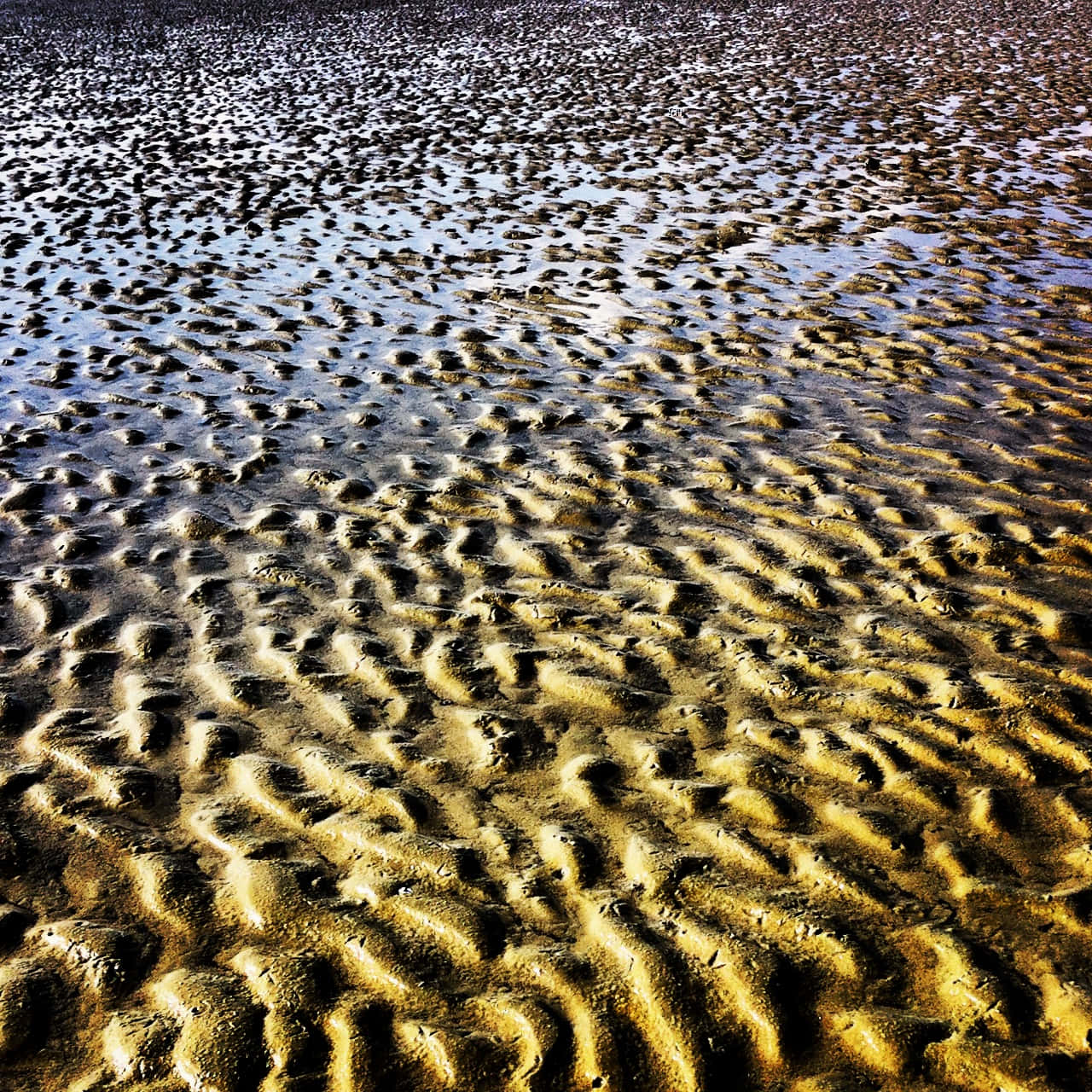 Magnanimous Mud Ripples Wallpaper