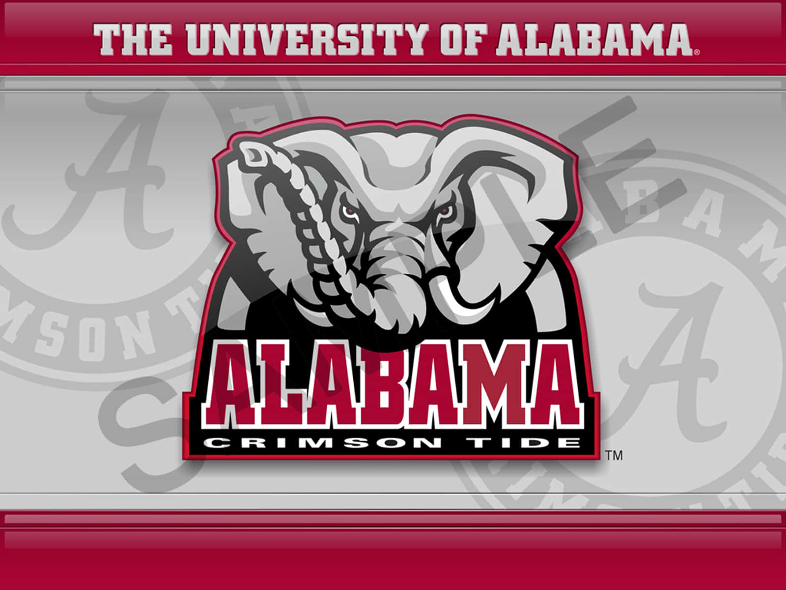 Magnificent Crimson Tide Logo Wallpaper