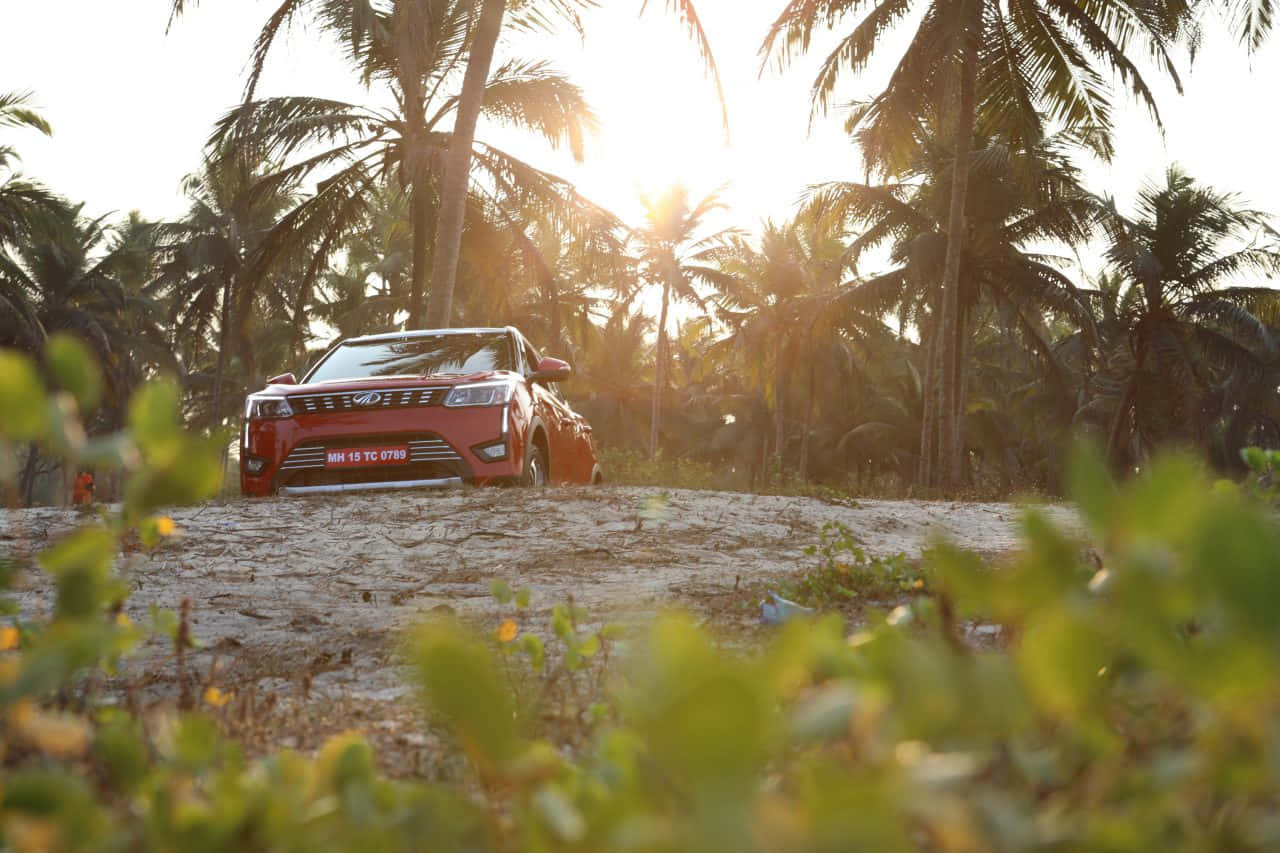 Mahindra X U V300 Sunset Palm Backdrop Wallpaper