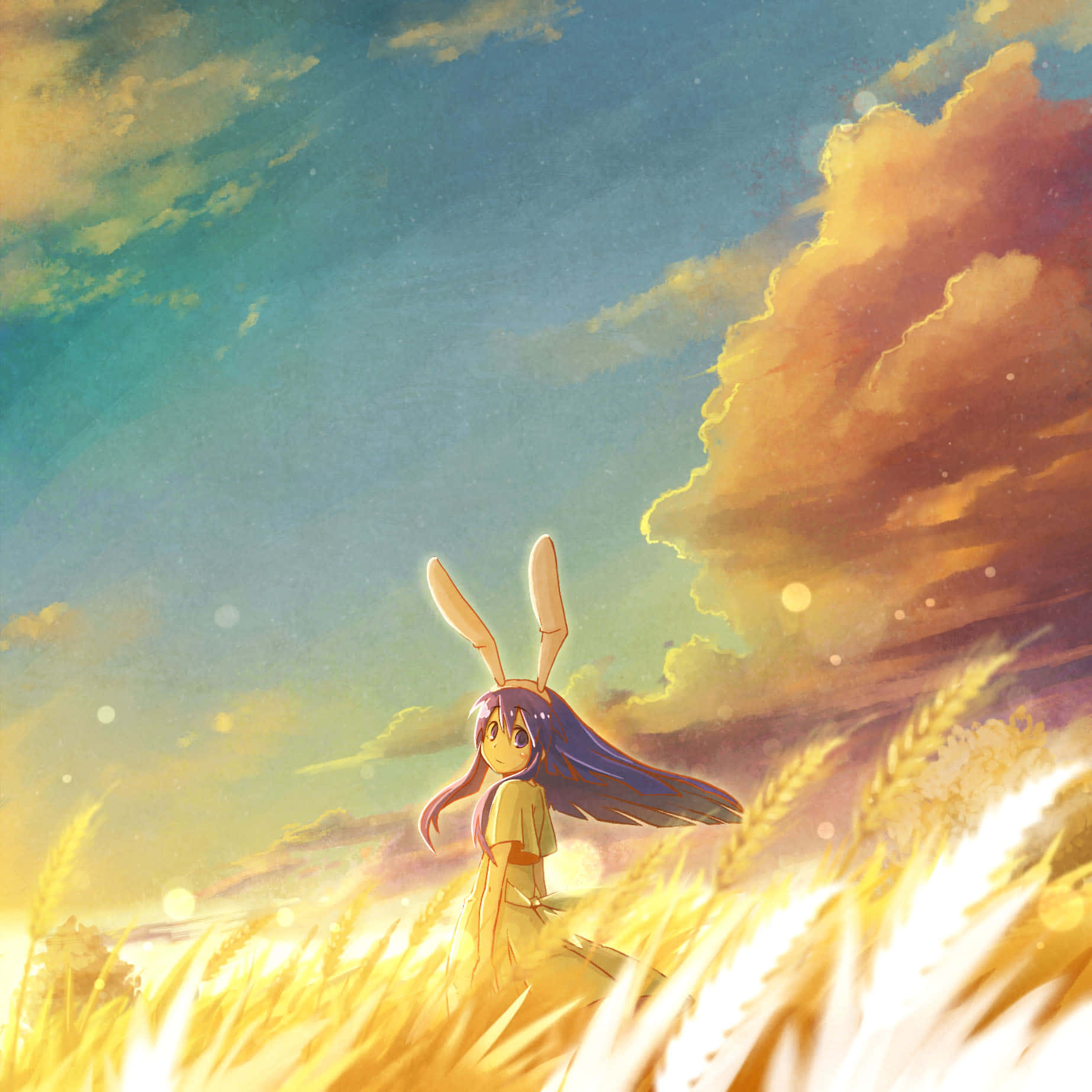 Mai Kawasumi Golden Field Sunset Wallpaper