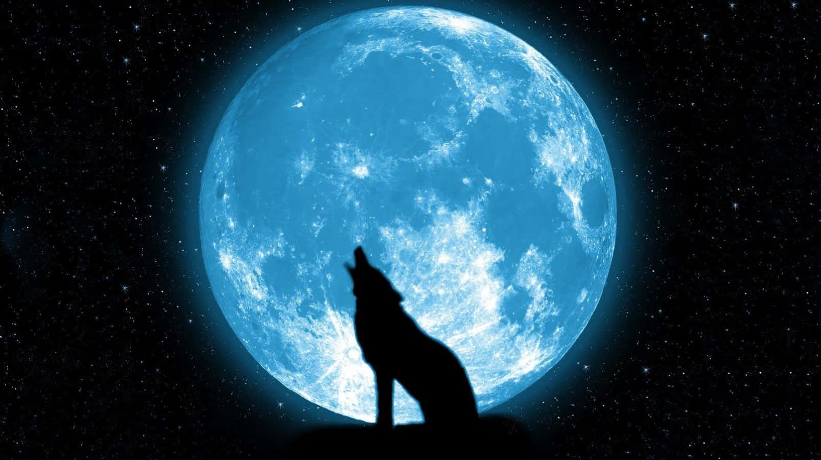 Majestic 3d Wolf Wallpaper Wallpaper