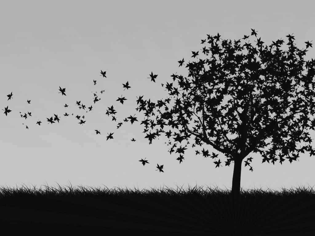 Majestic Black And White Tree Silhouette Wallpaper