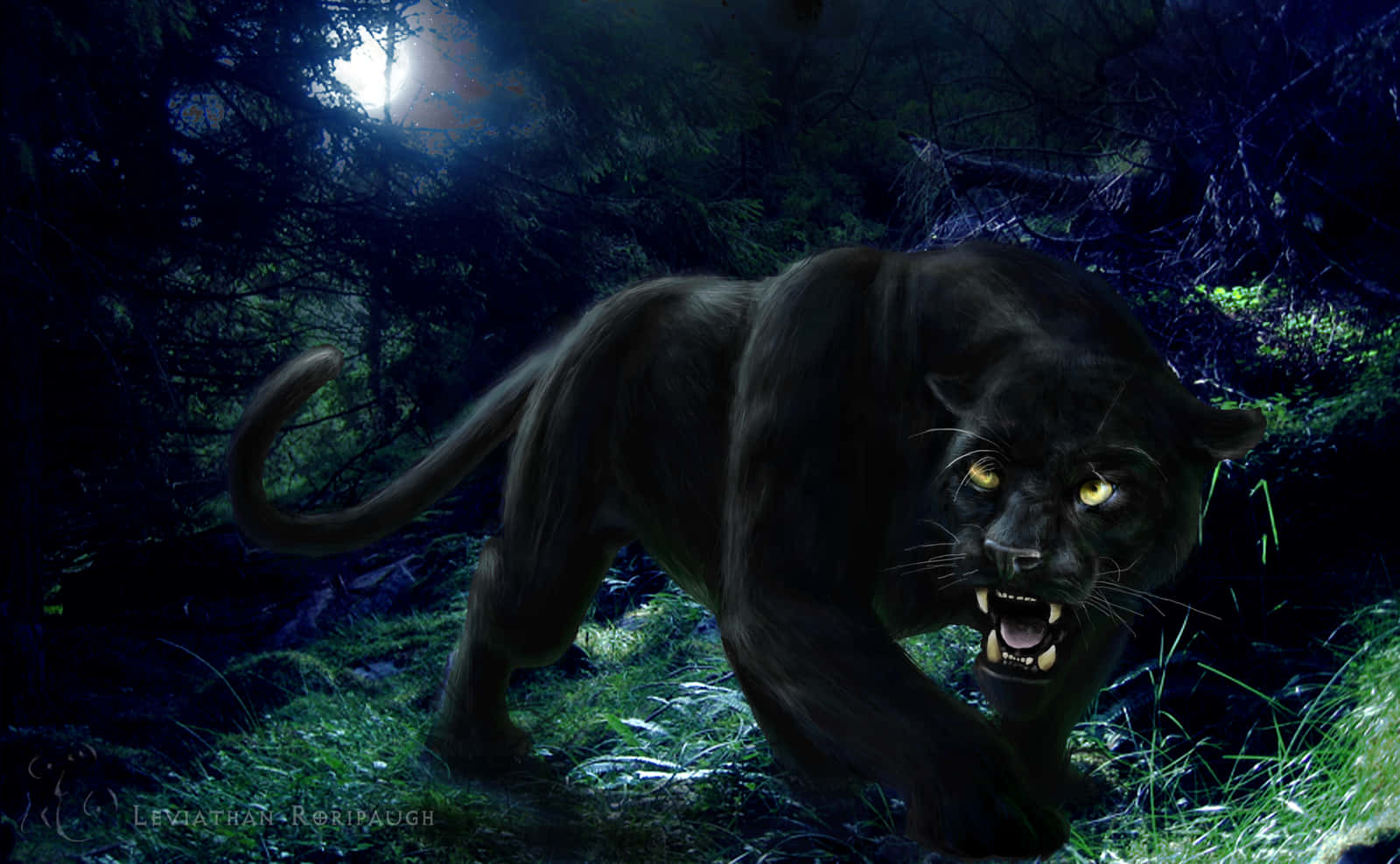 Majestic Black Panther In Natural Habitat Wallpaper