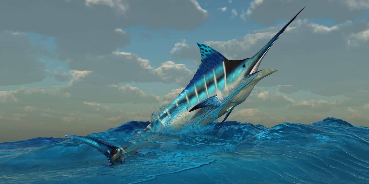 Majestic Blue Marlin Leaping Wallpaper