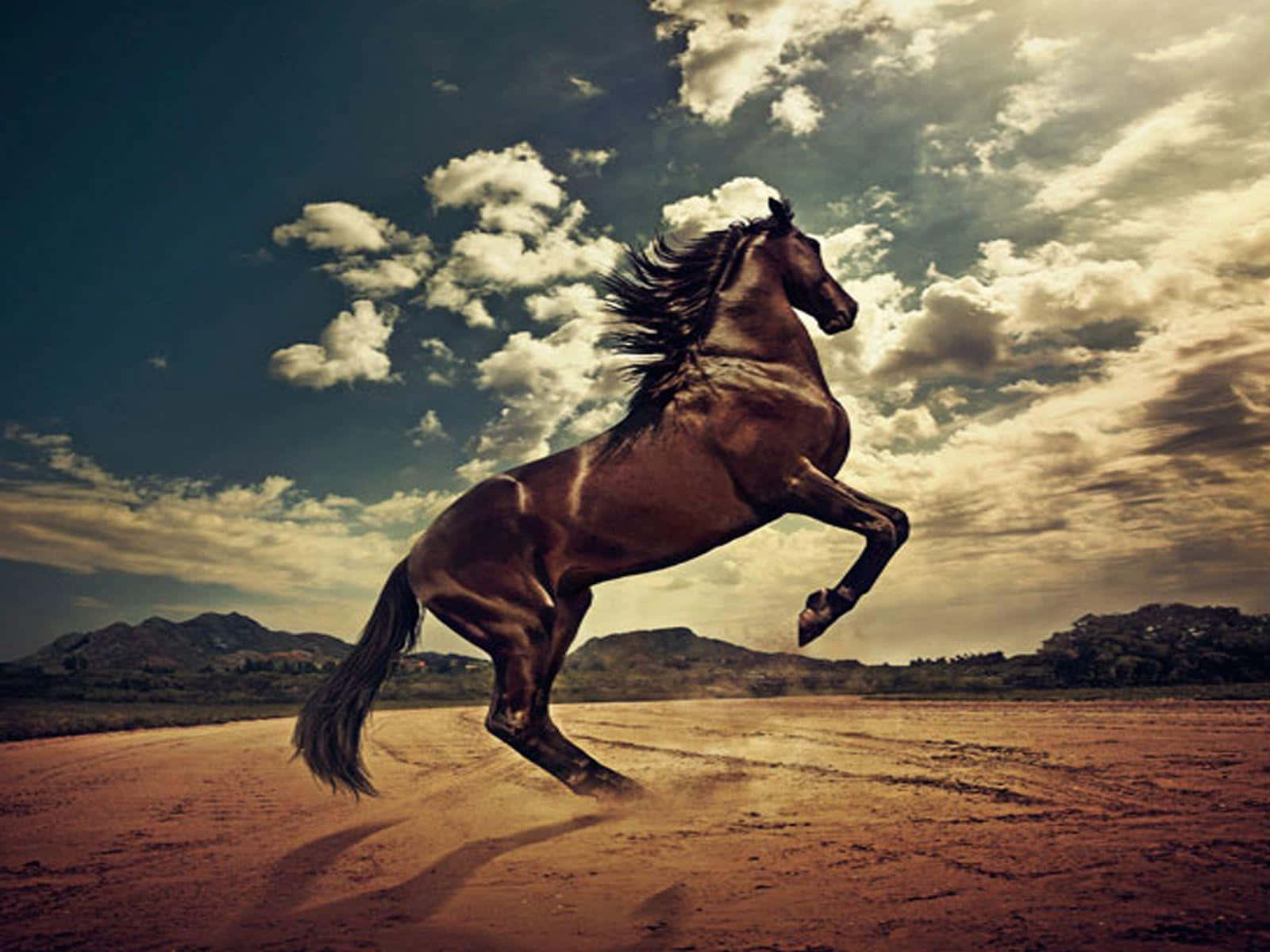 Majestic Brown Horse Galloping In Nature Wallpaper