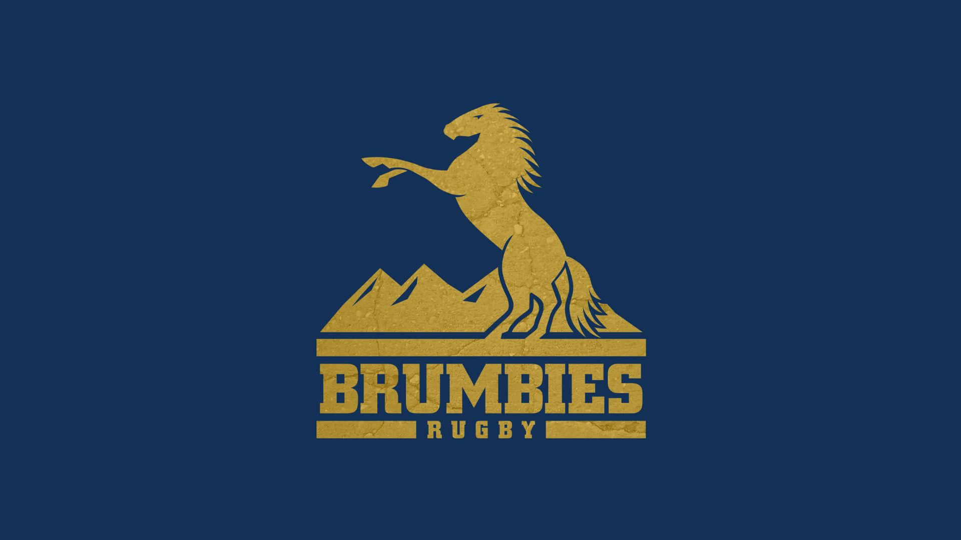 Majestic Brumbies In The Wild Wallpaper